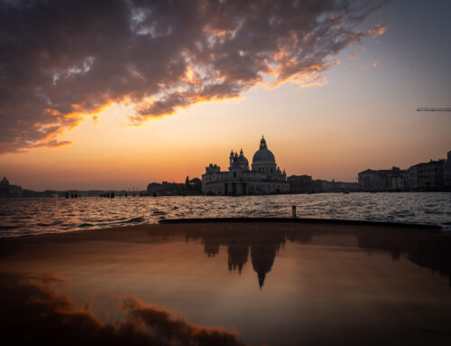 Business meeting  Venice  November 2024